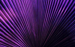 Purple light streaks abstract background
