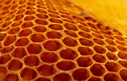 yellow honeycomb